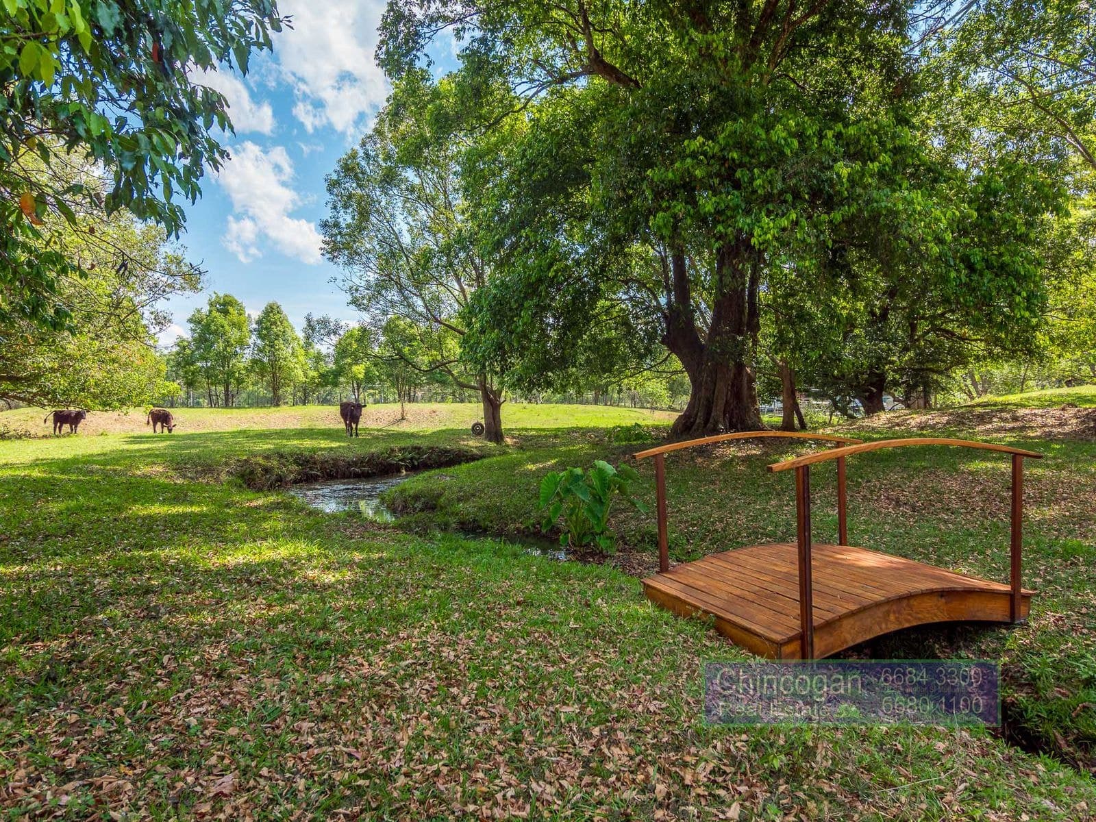 2046 Coolamon Scenic Drive, Mullumbimby, NSW, Mullumbimby - Thumbnail 3