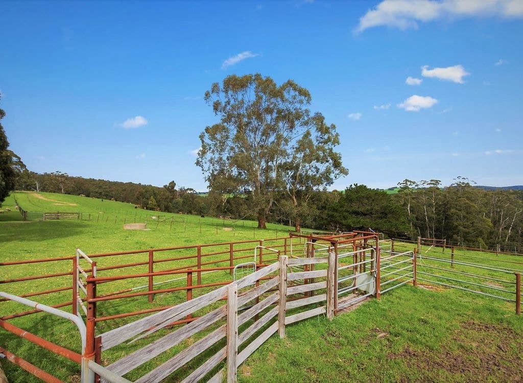 145 Wagner Road, NEERIM SOUTH VIC 3831, Neerim South - Thumbnail 8