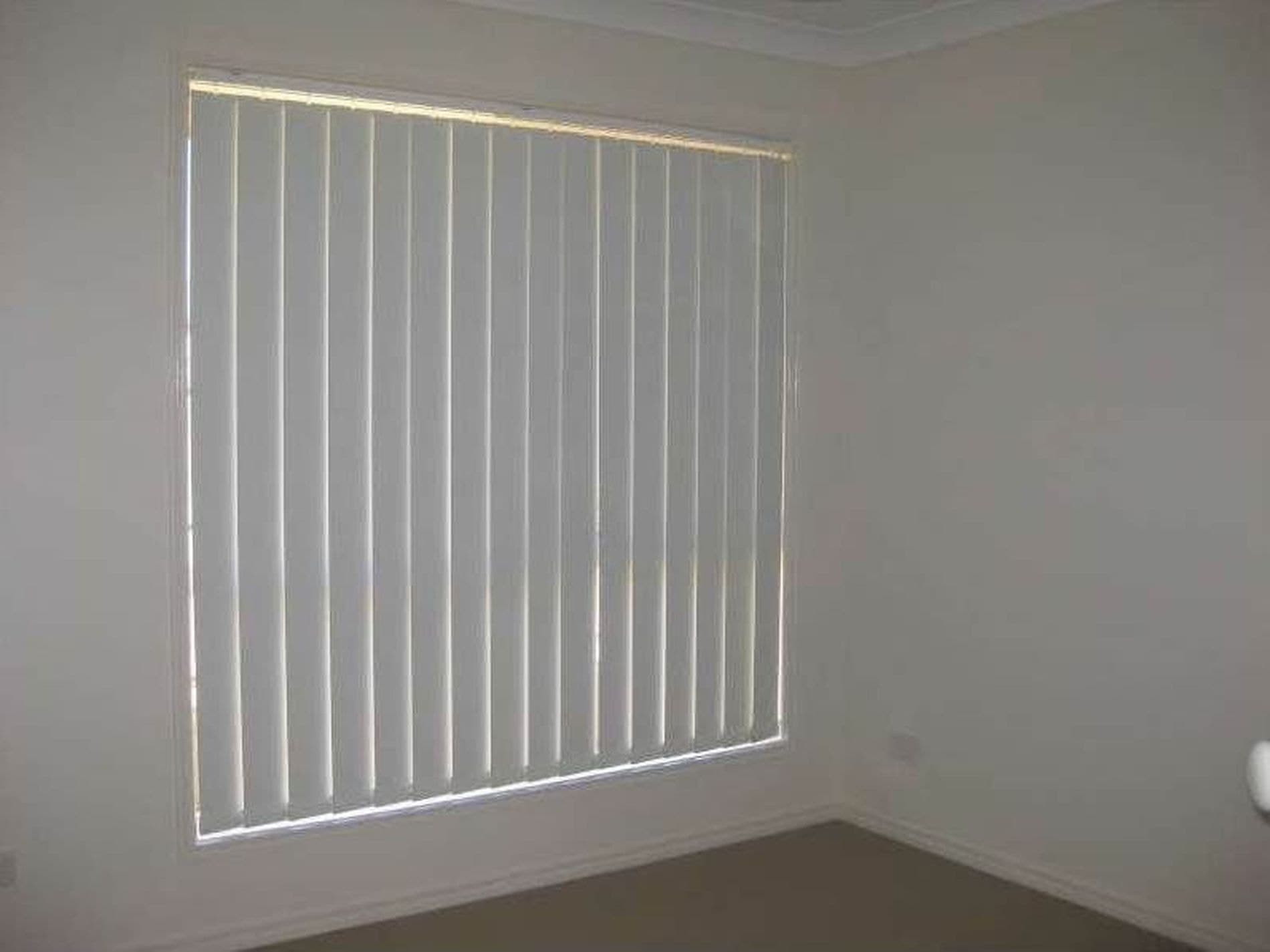 12 Auster Avenue, Bray Park, QLD, Bray Park - Thumbnail 4
