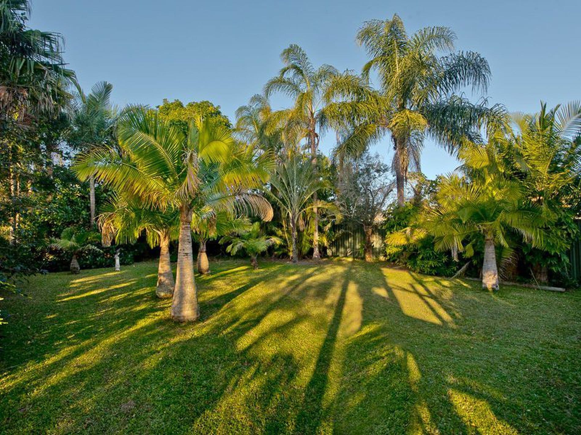 62 Dean Street, Bray Park, QLD, Bray Park - Thumbnail 8
