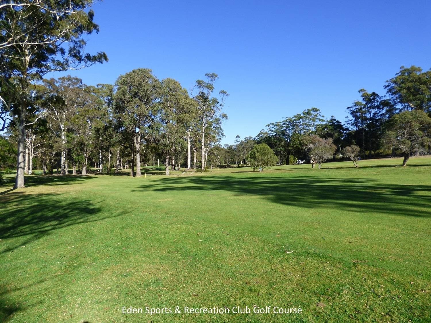 79 Princes Highway, Eden - Thumbnail 5