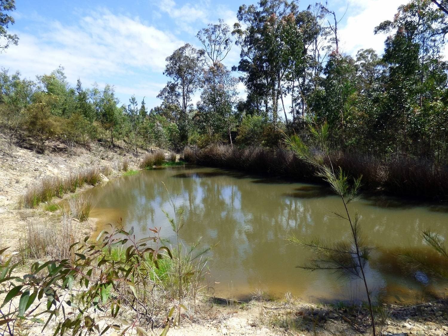 Lot 21 Komirra Drive, Eden, Eden - Thumbnail 3