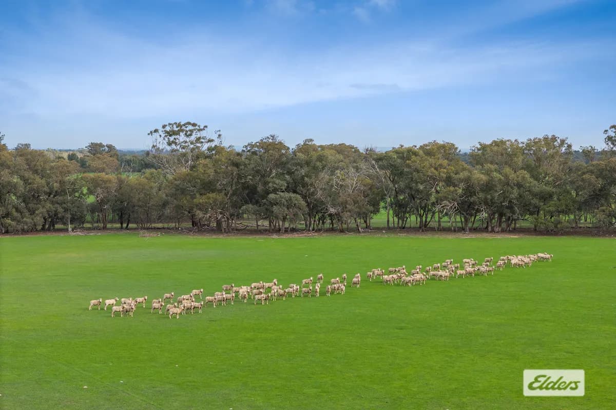 4 & 27/Derrinal-Crosbie Road, Toolleen, VIC, 3551, Toolleen - Thumbnail 3