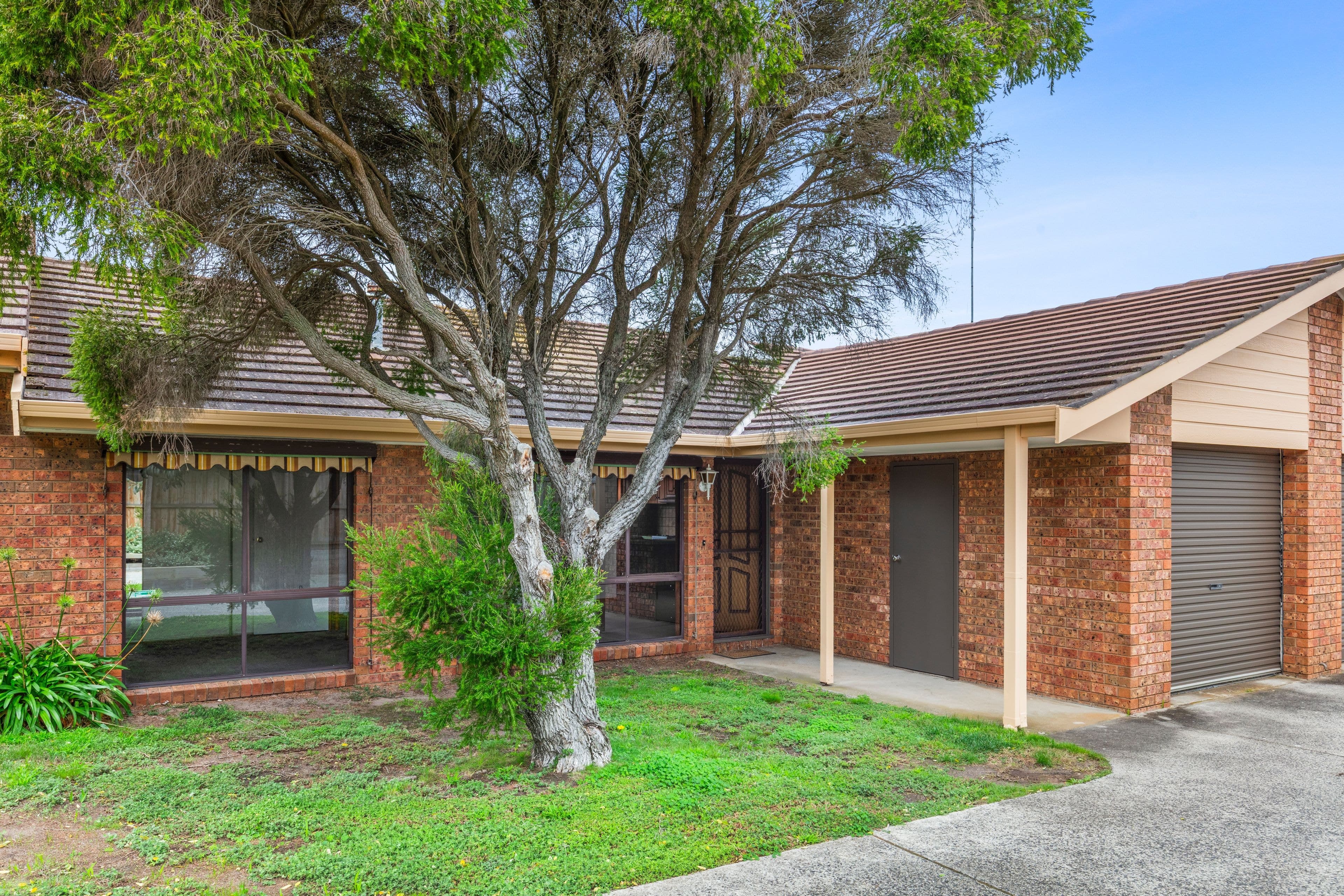 5/24 Percy Street, Newtown VIC 3220, Newtown - Image 1