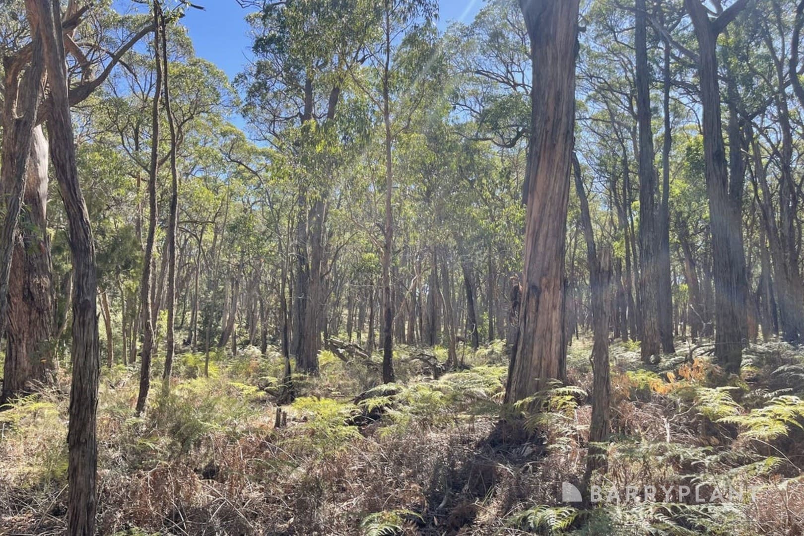 3 Pittong Snake Valley Road, Snake Valley, VIC 3351, Snake Valley - Thumbnail 2