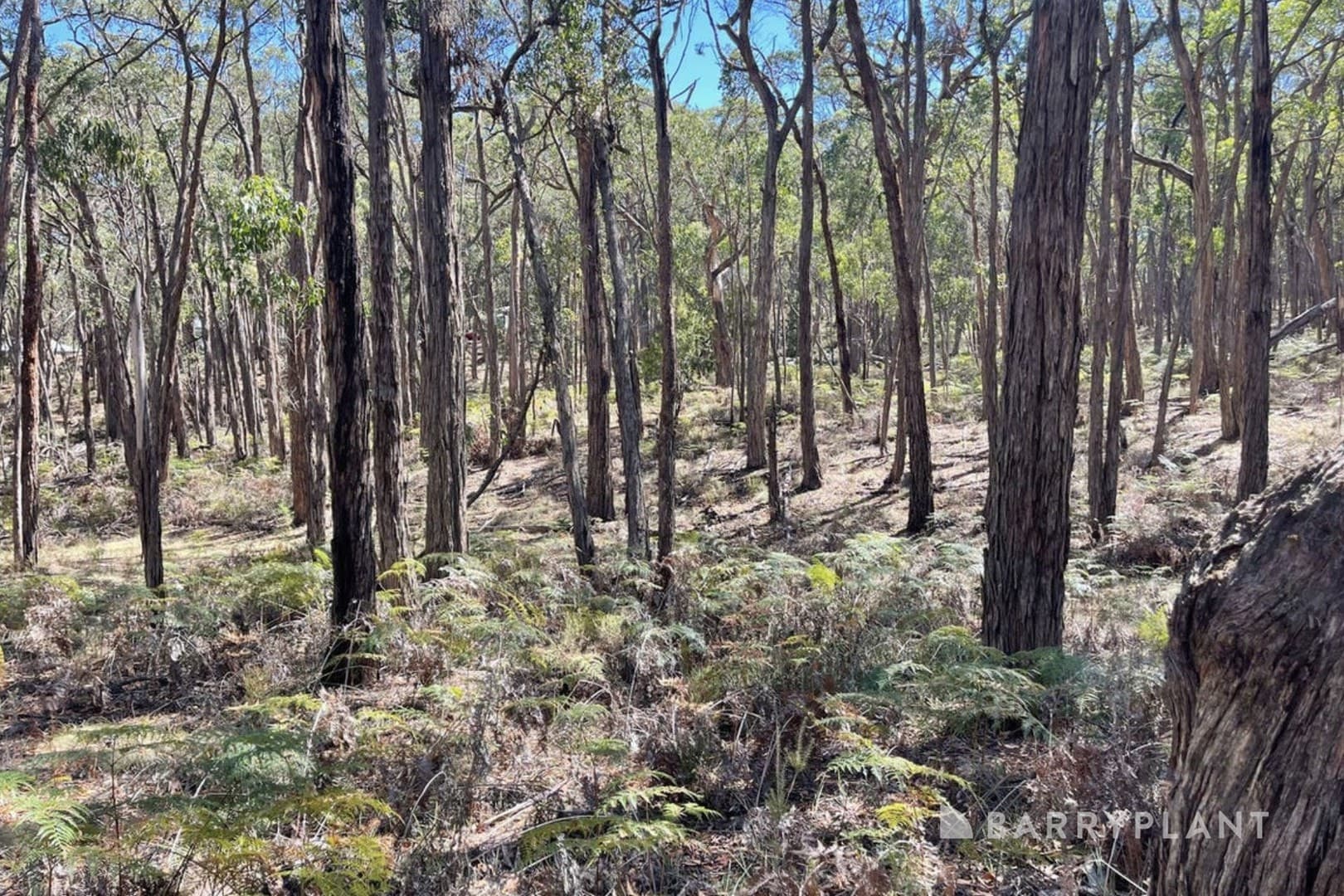 3 Pittong Snake Valley Road, Snake Valley, VIC 3351, Snake Valley - Thumbnail 4