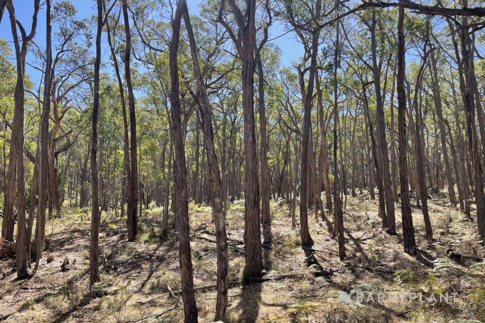 3 Pittong Snake Valley Road, Snake Valley, VIC 3351, Snake Valley - Thumbnail 6
