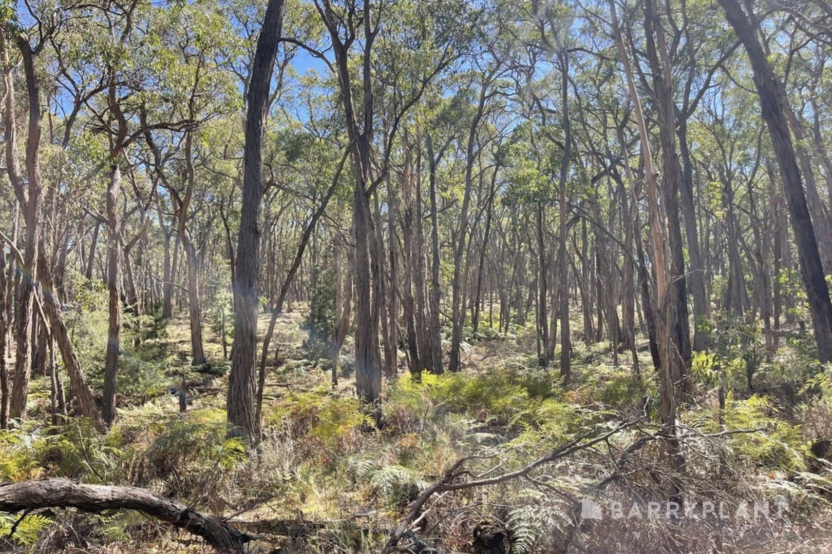 3 Pittong Snake Valley Road, Snake Valley, VIC 3351, Snake Valley - Thumbnail 8