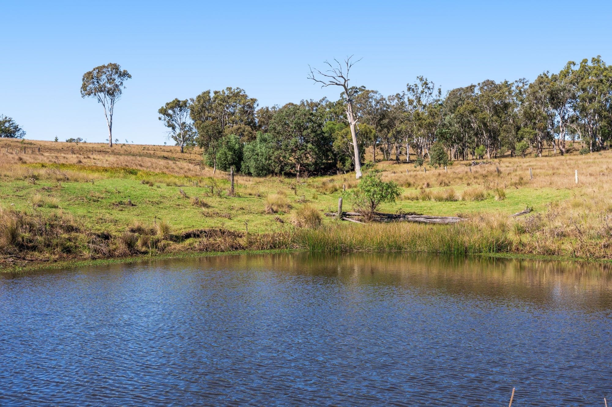 Lot 96 Middle Creek - Cooyar Road, Pimpimbudgee QLD 4615, Pimpimbudgee - Thumbnail 2