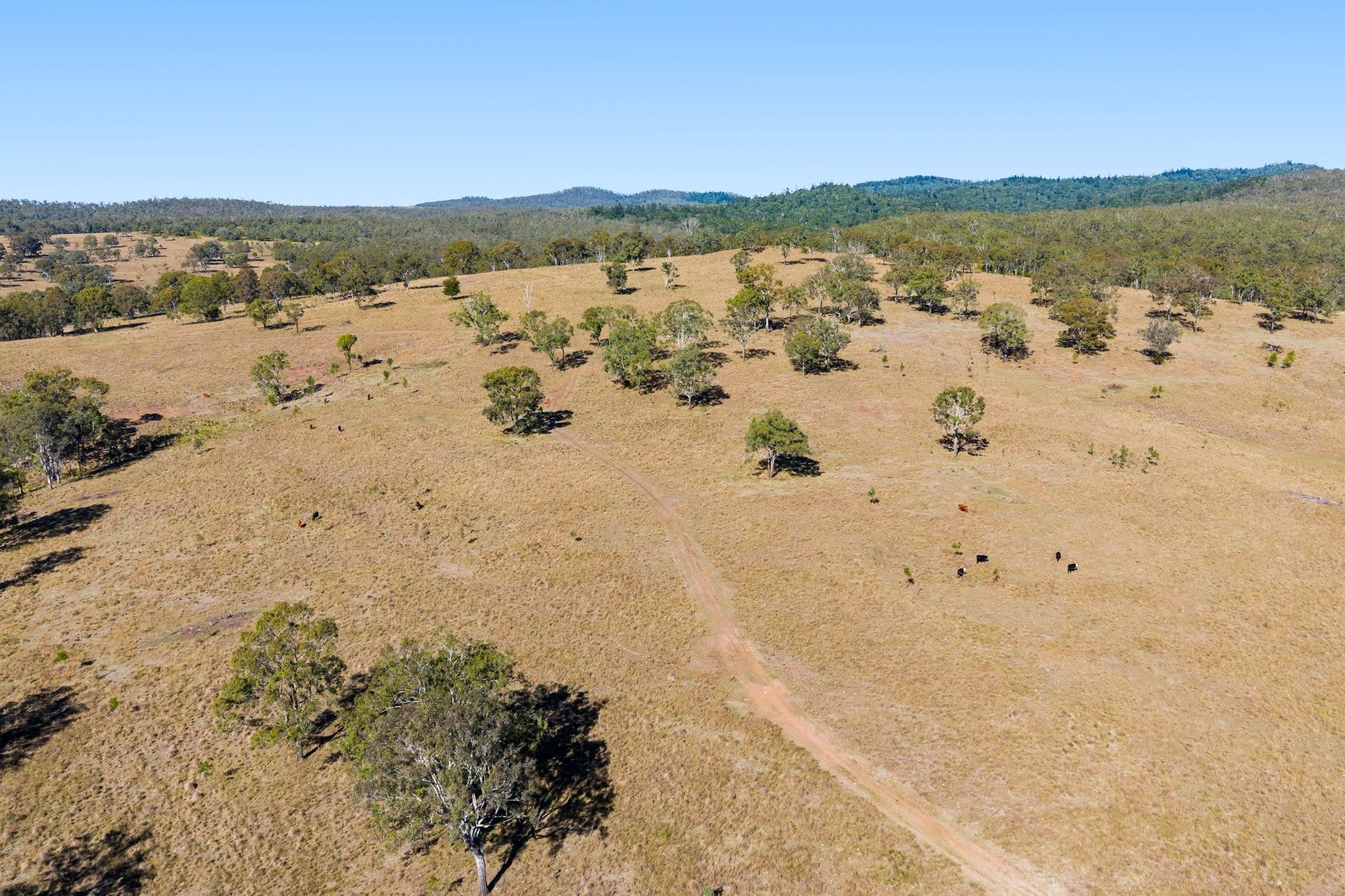 Lot 96 Middle Creek - Cooyar Road, Pimpimbudgee QLD 4615, Pimpimbudgee - Thumbnail 4
