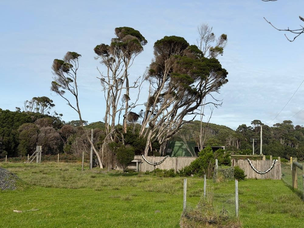 10 Rankins Road, NARACOOPA, TAS 7256, Naracoopa - Thumbnail 3