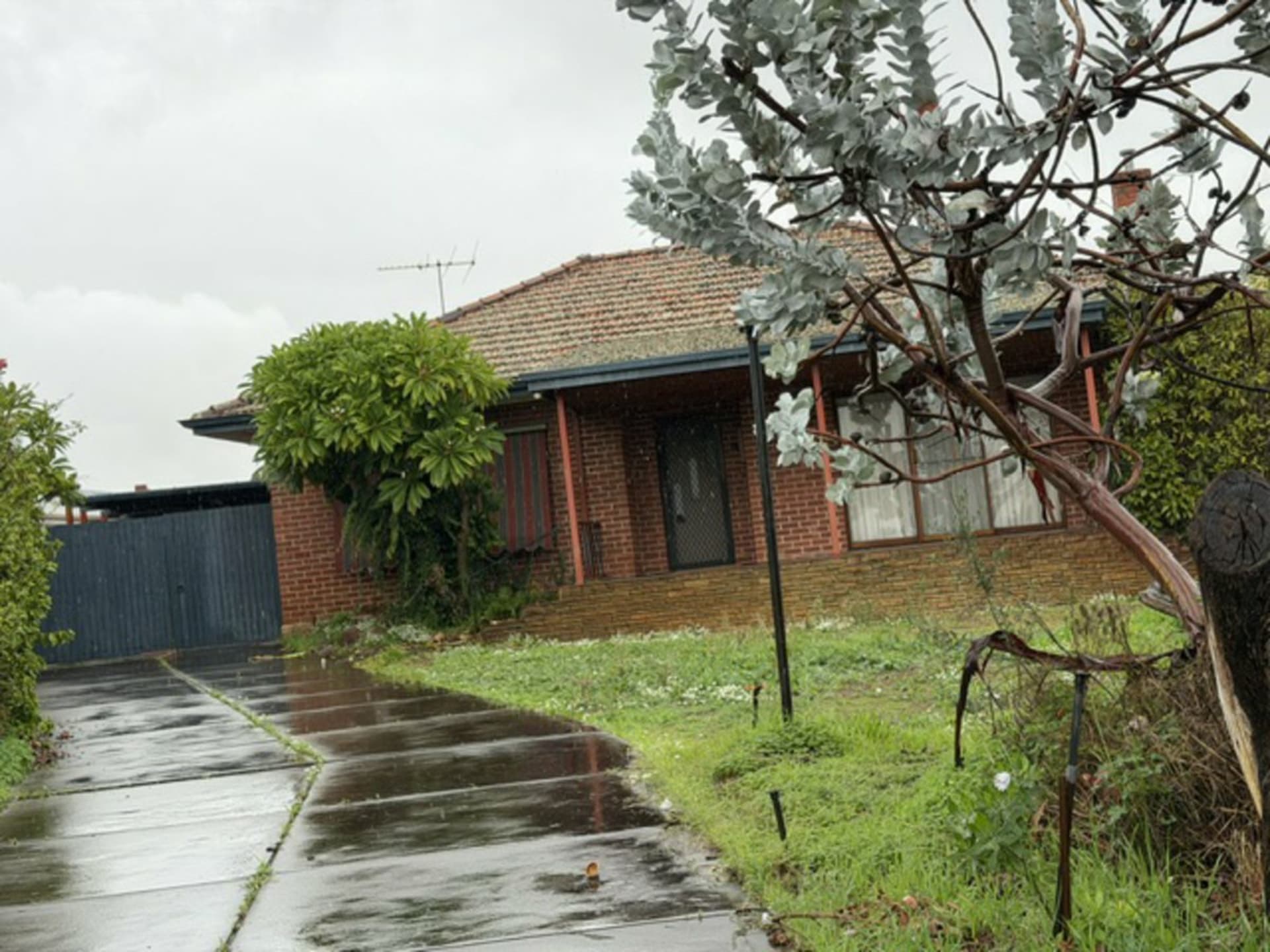 36 Morrison Street Redcliffe WA, Redcliffe - Thumbnail 2