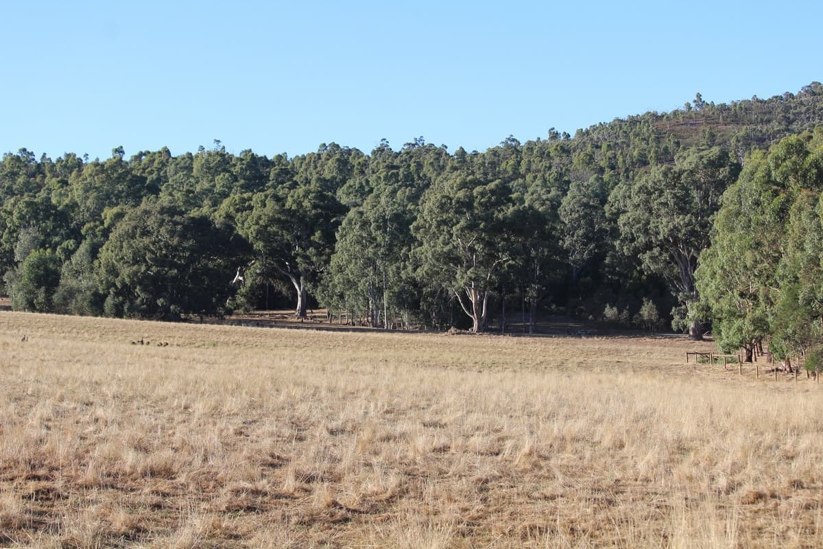 Jensens Road, Mirranatwa, VIC, Mirranatwa - Thumbnail 2