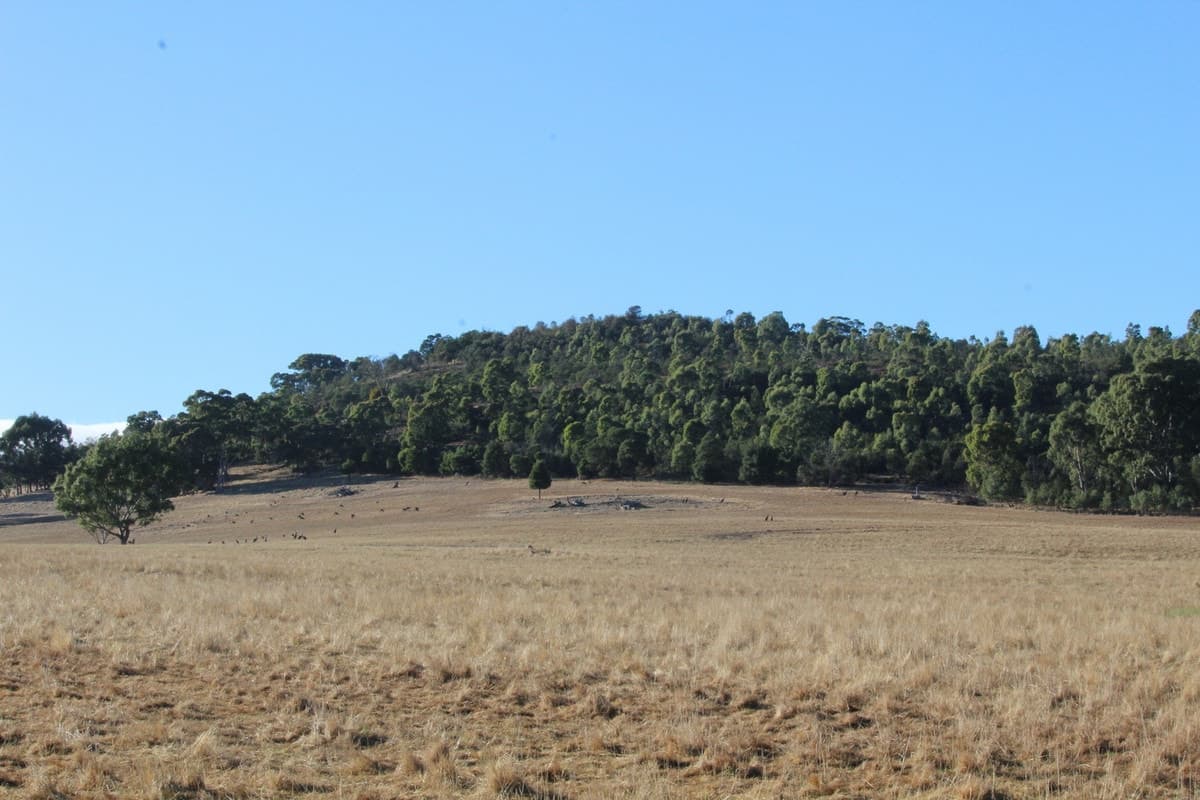 Jensens Road, Mirranatwa, VIC, Mirranatwa - Thumbnail 3