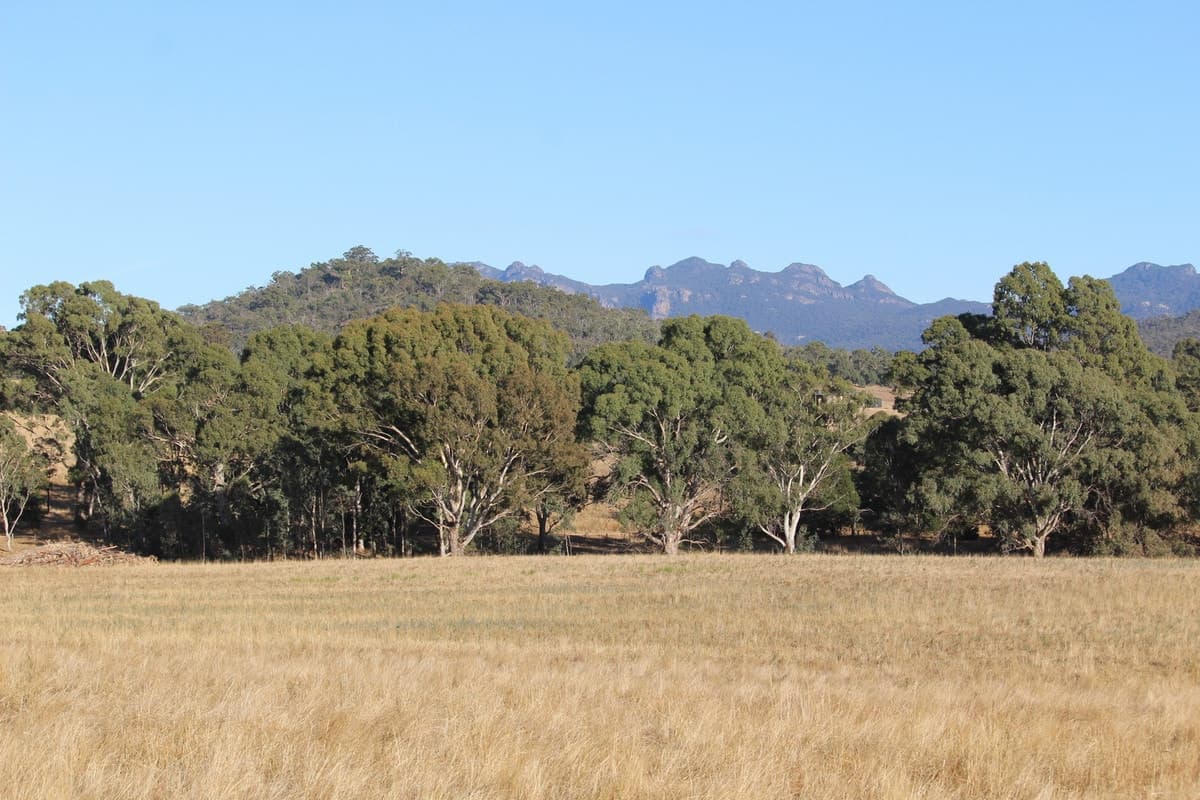 Jensens Road, Mirranatwa, VIC, Mirranatwa - Thumbnail 4