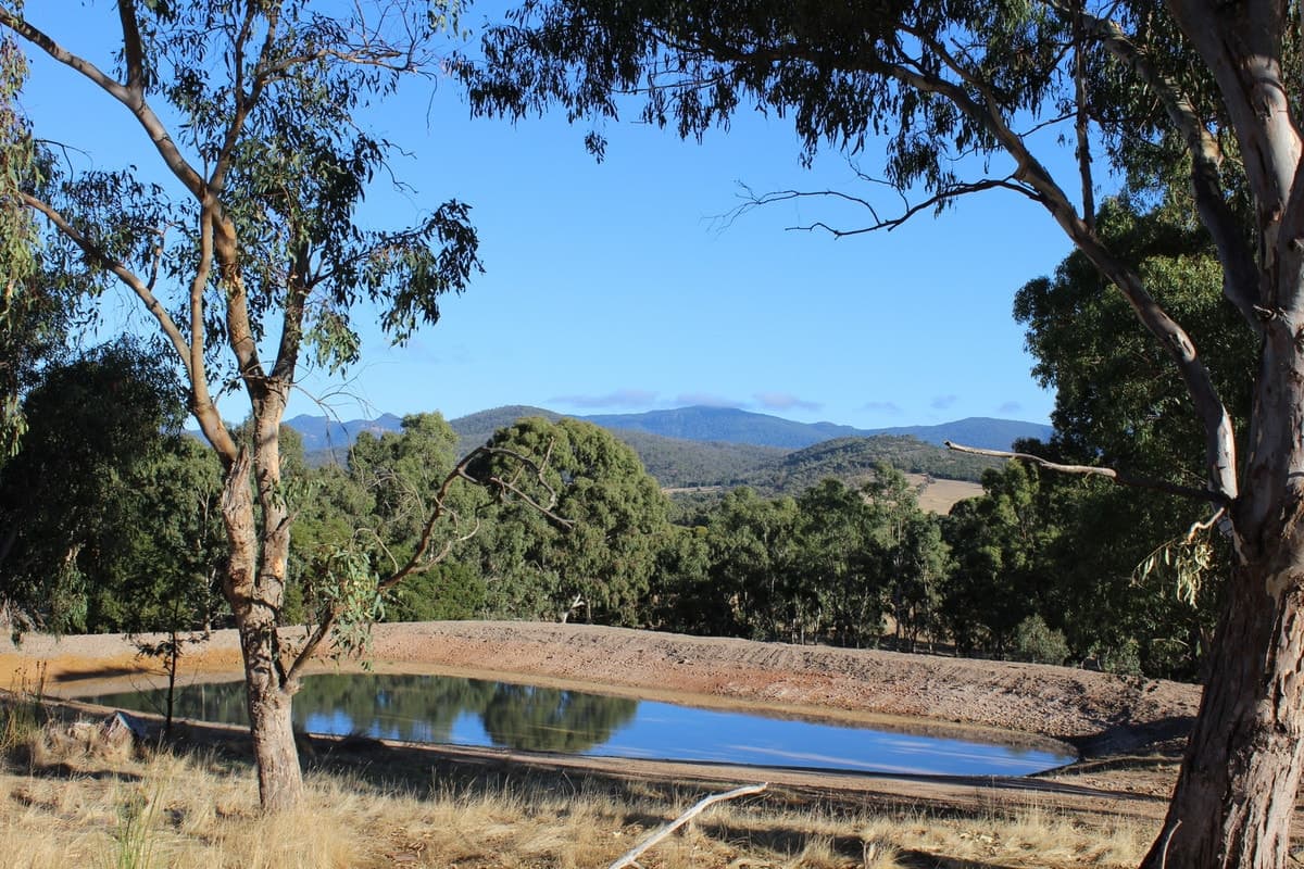 Jensens Road, Mirranatwa, VIC, Mirranatwa - Thumbnail 6