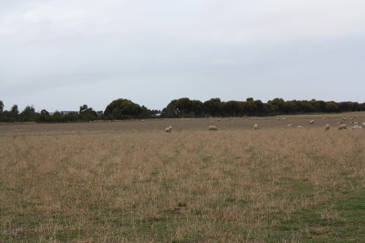 415 South Barunah Road, Wingeel, VIC, Wingeel - Image 1