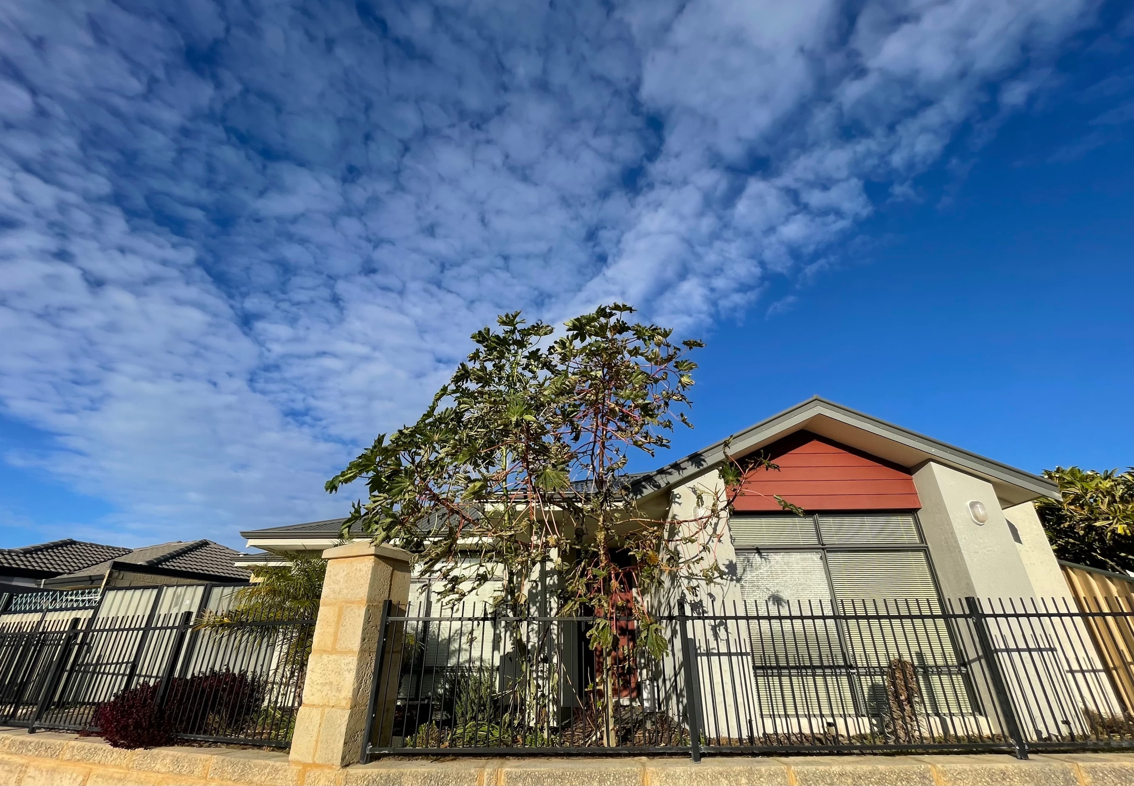 60 Morwell Street, Yanchep  WA  6035, Yanchep - Thumbnail 2