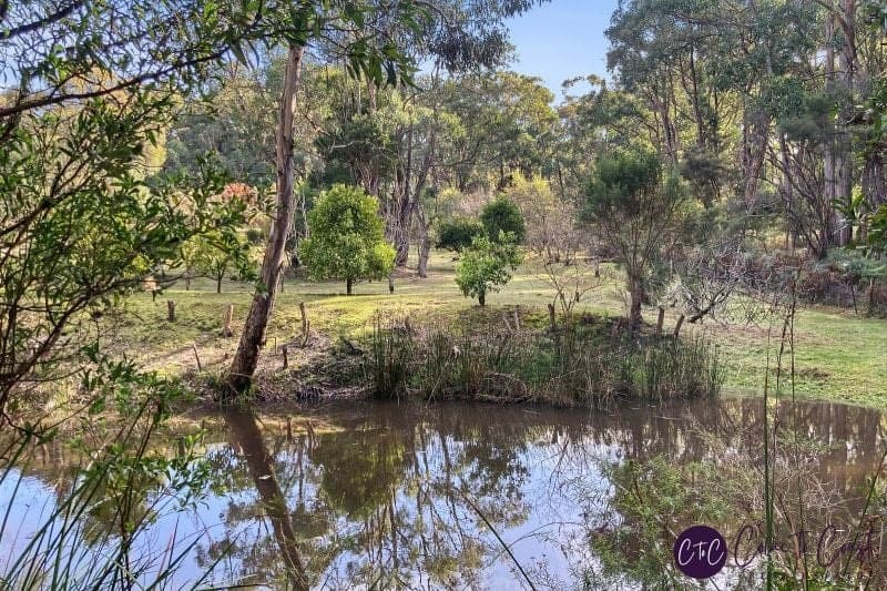 25 Johnsons Road Barongarook VIC, Barongarook - Thumbnail 8