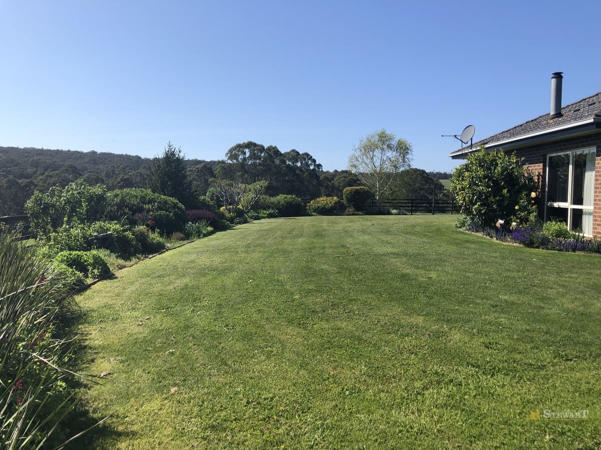 127 Cashins Road, Kawarren, VIC, Kawarren - Thumbnail 8