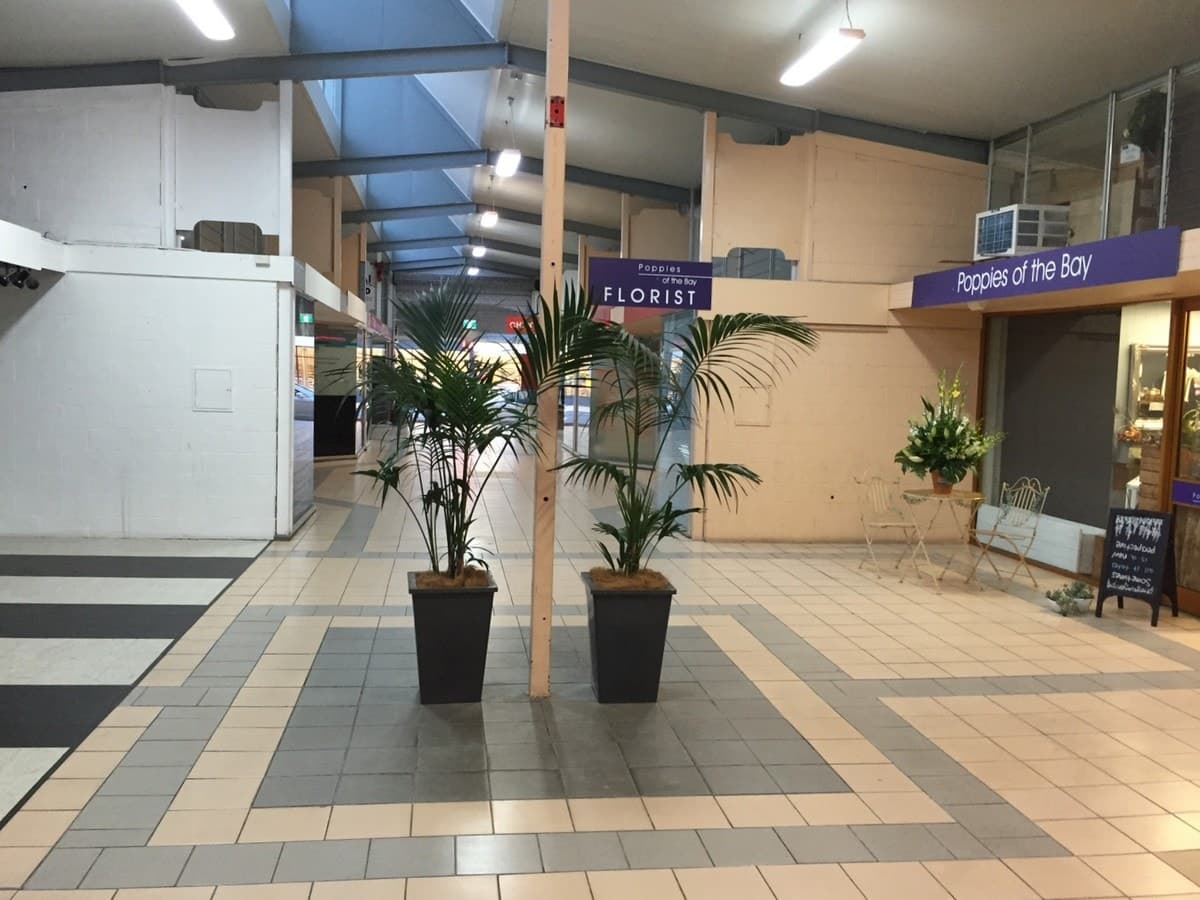 Lot 10 / 23 Stockton Street, Nelson Bay NSW 2315, Nelson Bay - Thumbnail 5