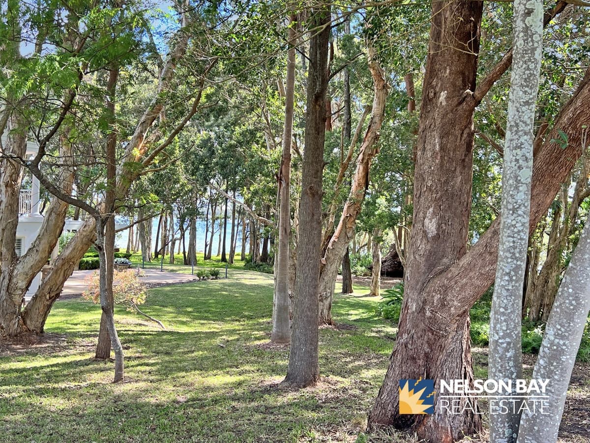 33 Danalene Parade, Corlette NSW 2315, Corlette - Thumbnail 4