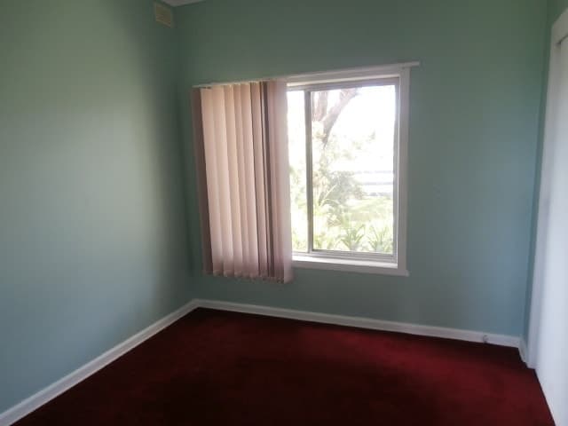 255 Cants Road, Elliminyt, VIC, Elliminyt - Thumbnail 5