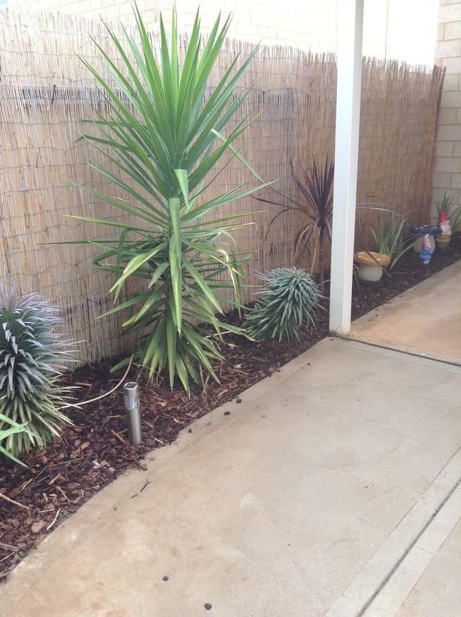 2/451 Hannan Street,
	
			
							Kalgoorlie
				
							
							WA
			6430, Kalgoorlie - Thumbnail 7