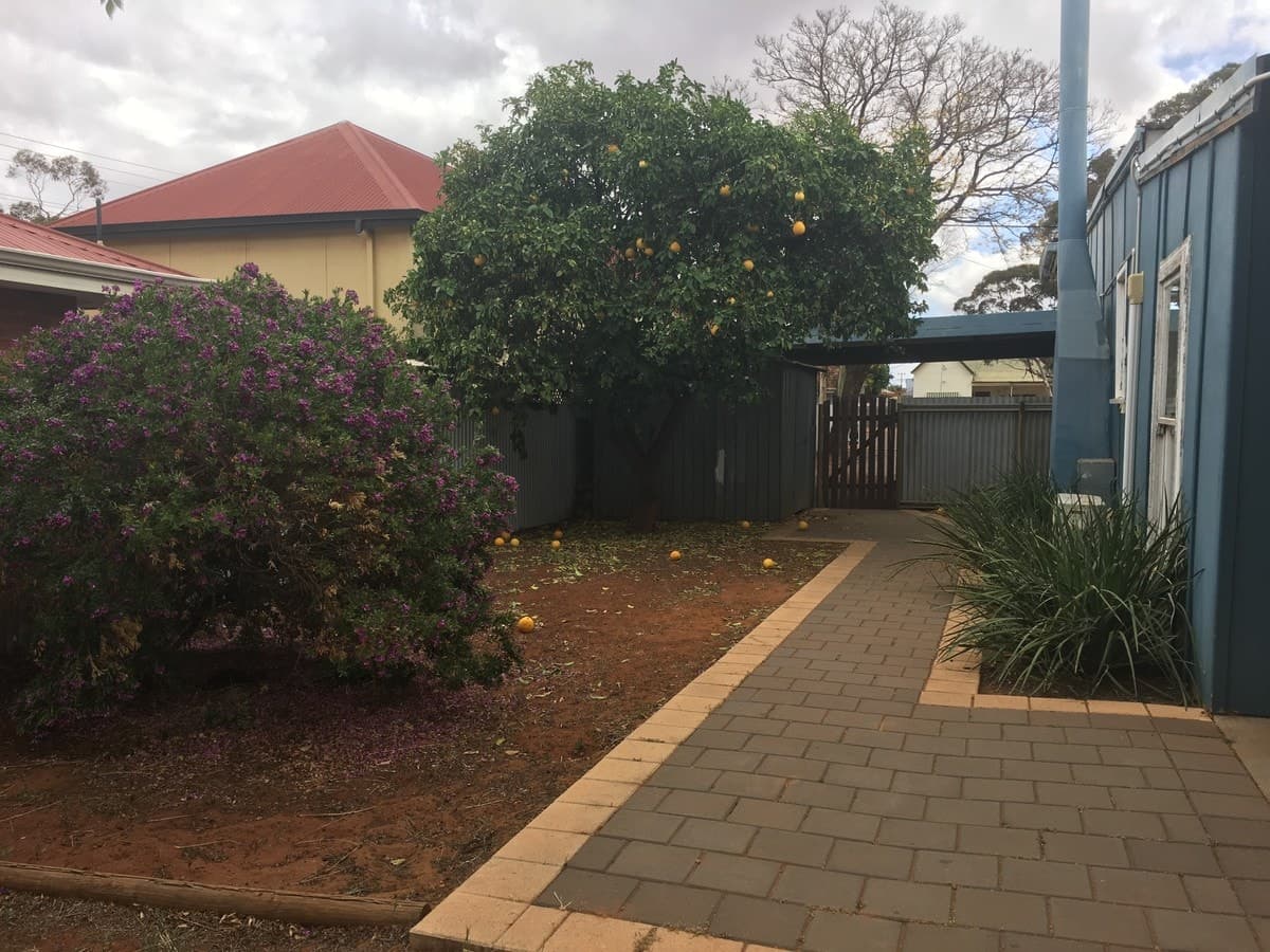 203 Collins Street, Kalgoorlie - Thumbnail 8