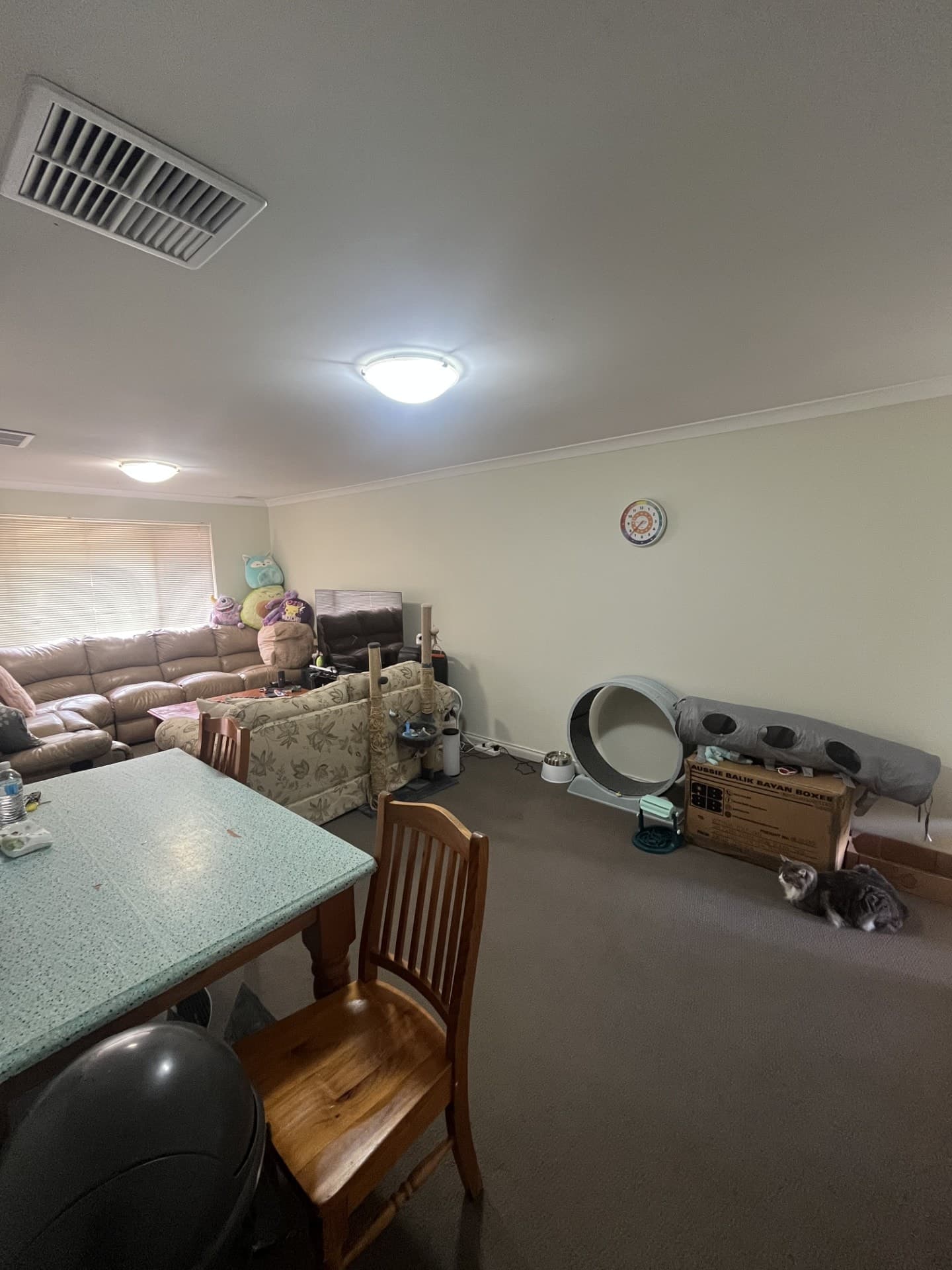 48C Bourke Street,
	
			
							PICCADILLY
				
							
							WA
			6430, Piccadilly - Thumbnail 3