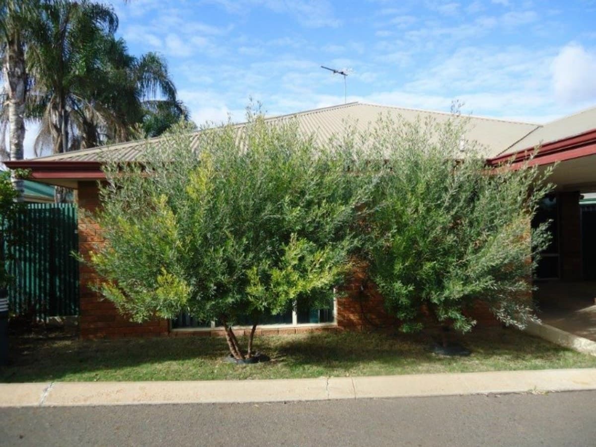 10/21 Tupper Street,
	
			
							KALGOORLIE
				
							
							WA
			6430, Kalgoorlie - Image 1