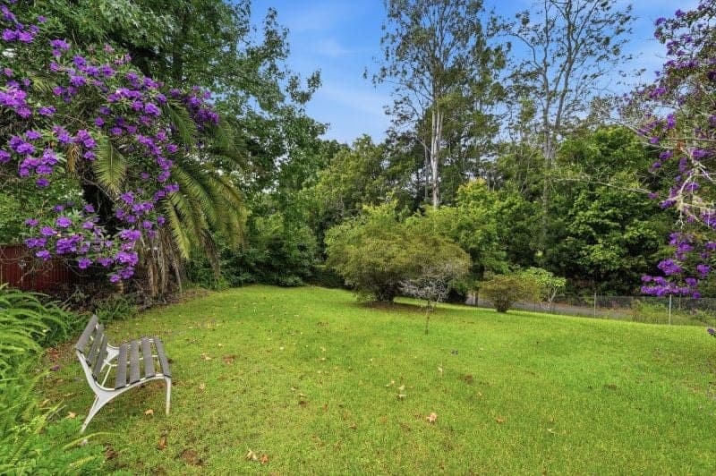 14 Church Street BELLINGEN NSW, Bellingen - Thumbnail 4