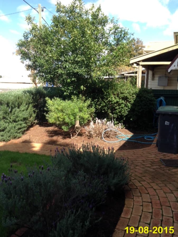 36 George Street,
	
			
							KALGOORLIE
				
							
							WA
			6430, Kalgoorlie - Thumbnail 2