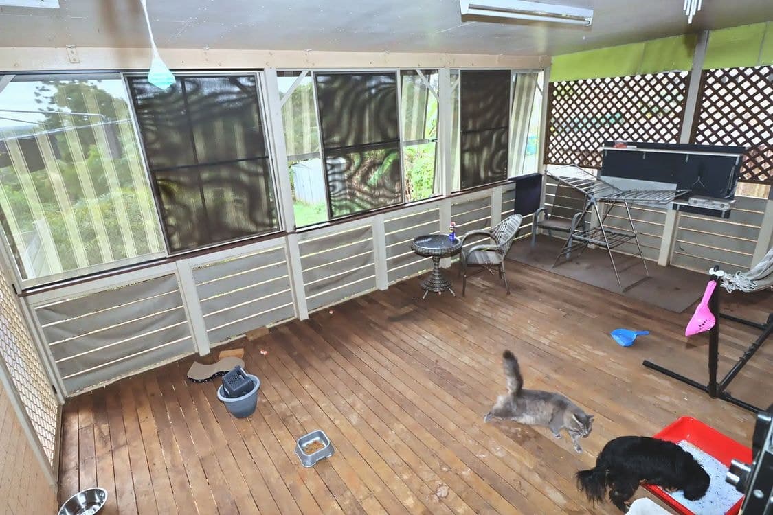 54 Broadhurst Street, CHILDERS, QLD 4660, Childers - Thumbnail 6