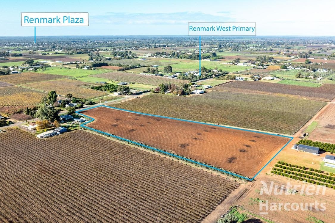 2/ Tarcoola Street, RENMARK, SA 5341, Renmark - Thumbnail 2