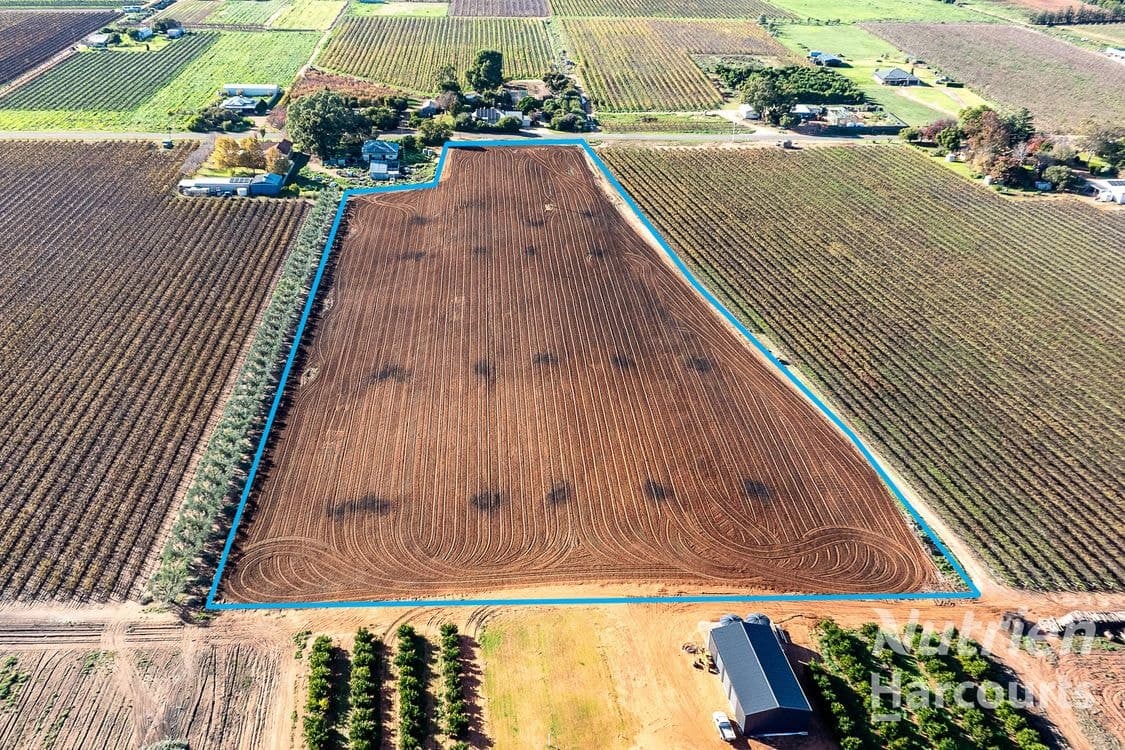 2/ Tarcoola Street, RENMARK, SA 5341, Renmark - Thumbnail 4
