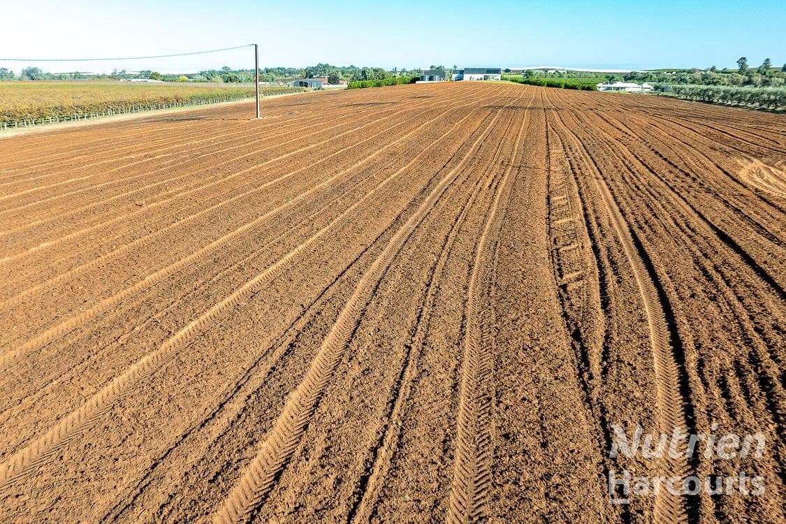 2/ Tarcoola Street, RENMARK, SA 5341, Renmark - Thumbnail 7