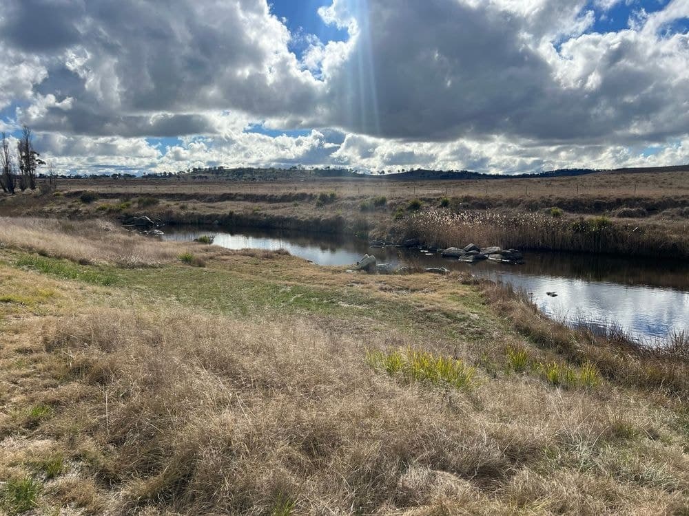 79 Nine Mile Road, DUNDEE, NSW 2370, Dundee - Thumbnail 6