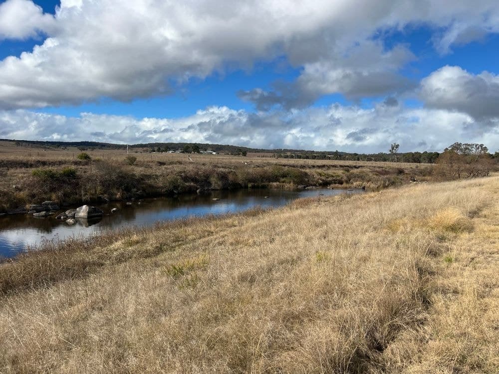 79 Nine Mile Road, DUNDEE, NSW 2370, Dundee - Thumbnail 7