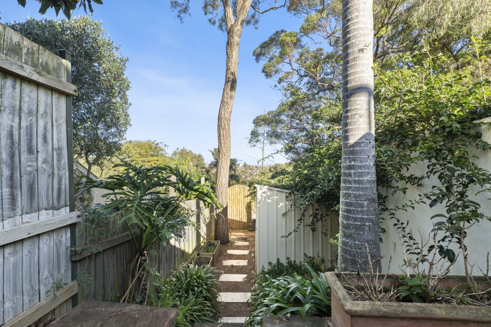 50 Thorne Street,Edgecliff, Edgecliff - Thumbnail 6