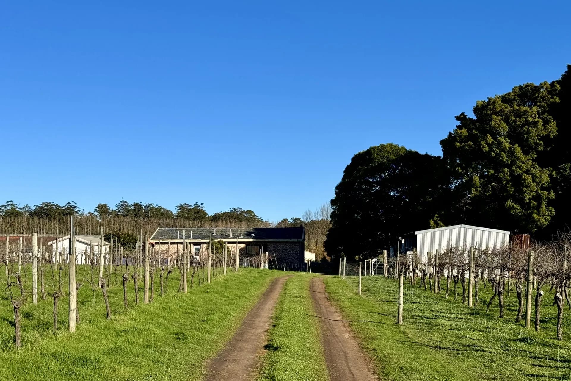 14591 Vasse Highway (Eastbrook), Pemberton, WA, Pemberton - Thumbnail 3