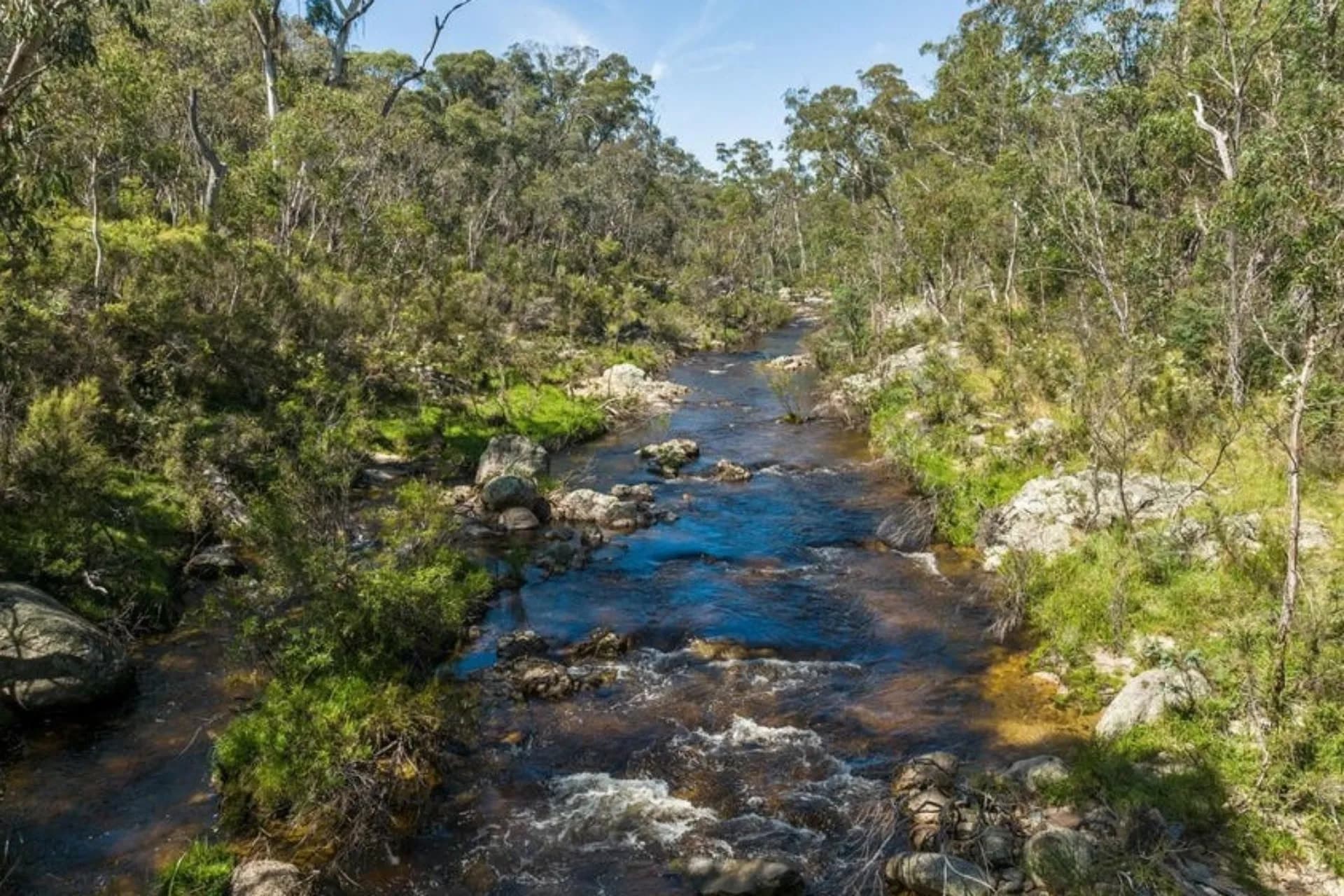 60 Hereford Hall Road, Braidwood, NSW, Braidwood - Thumbnail 8