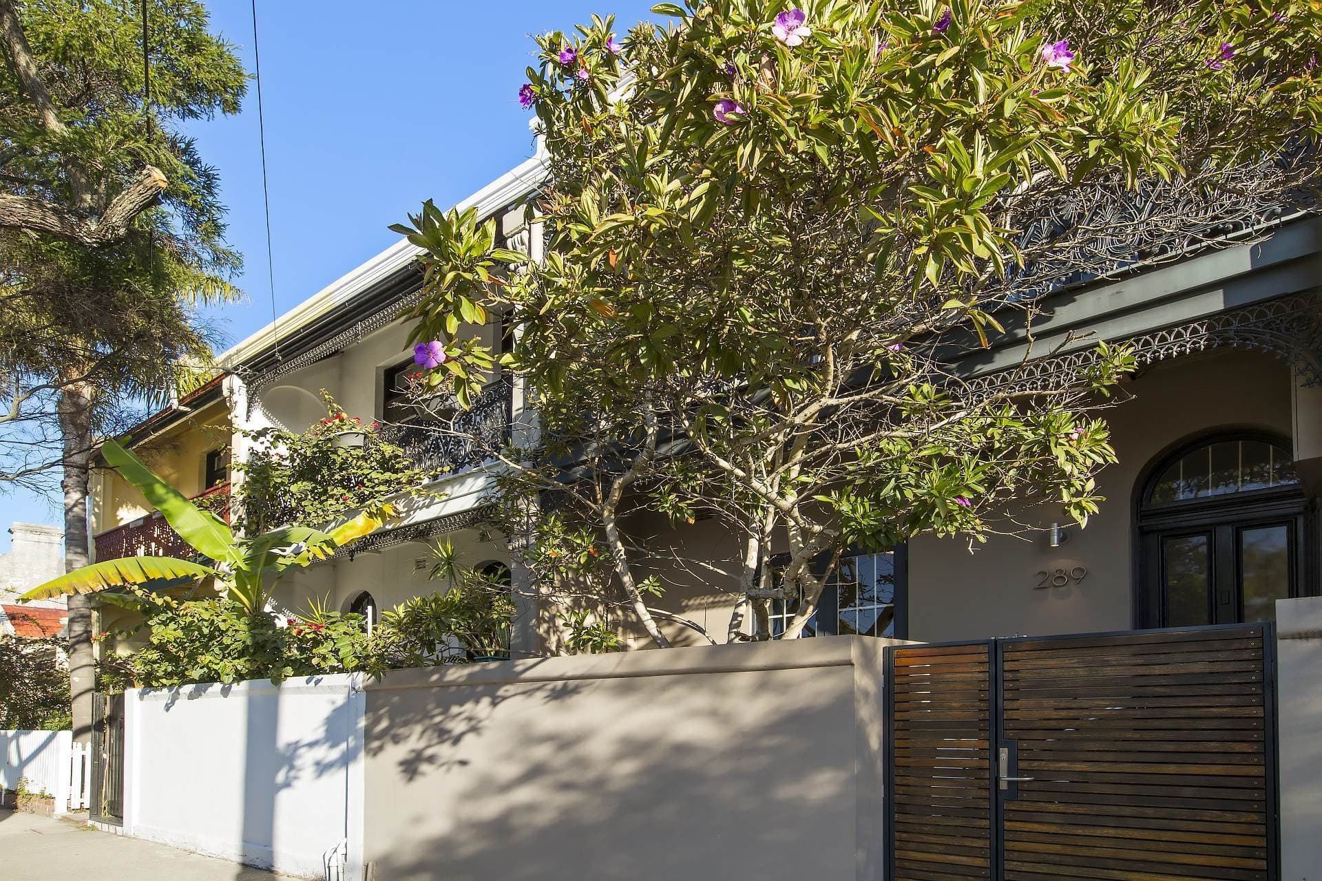 289 Bronte Road, Waverley, Waverley - Thumbnail 4