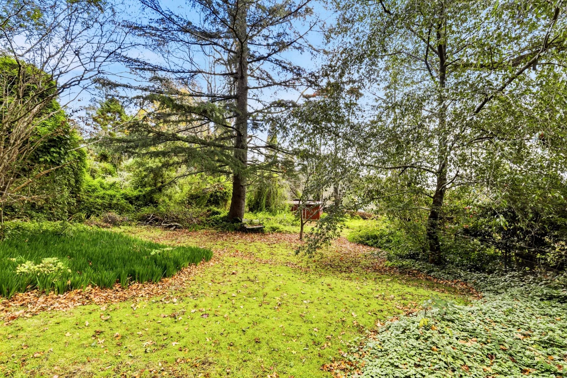 16 Northcote Road, Leura, NSW, Leura - Thumbnail 7