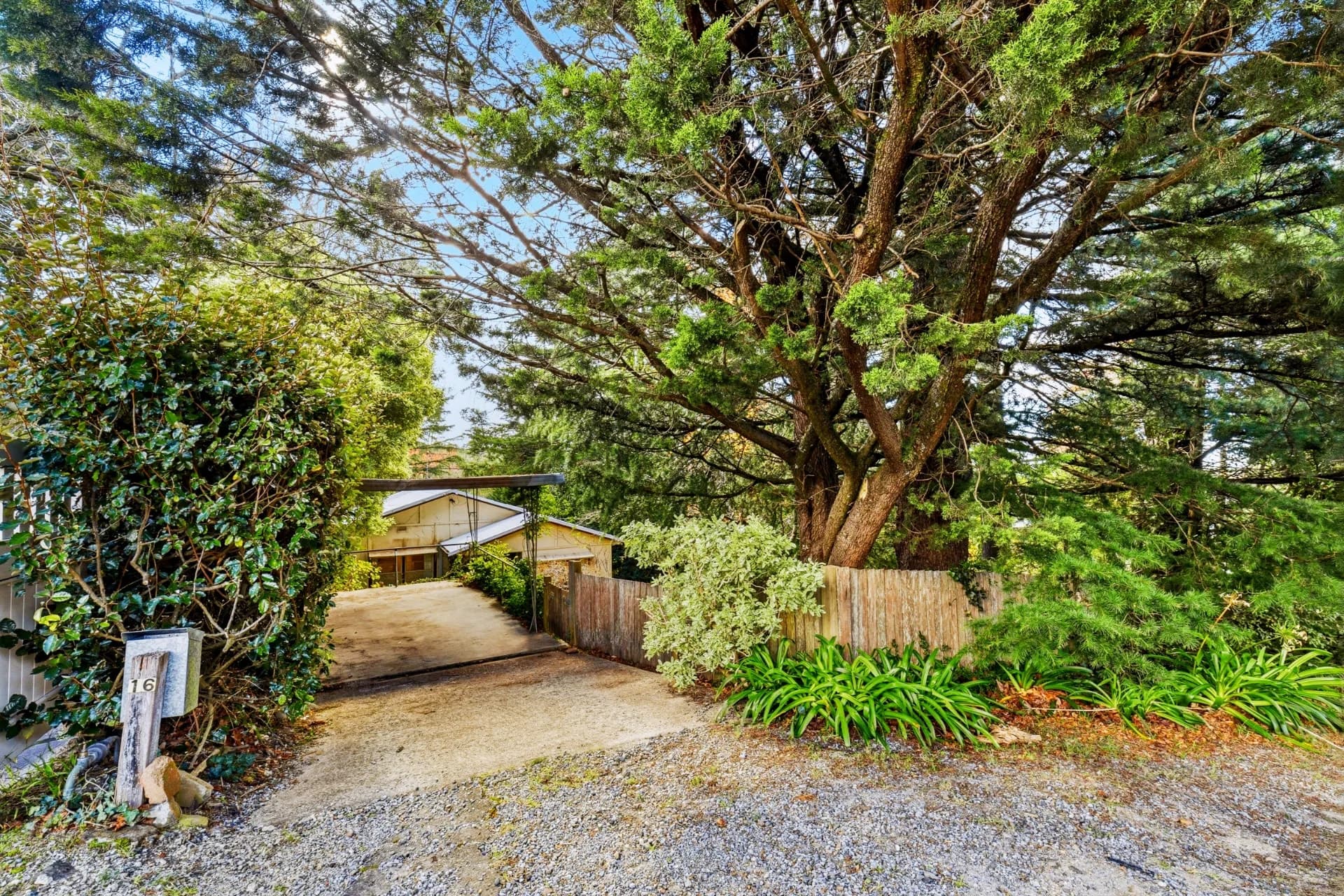 16 Northcote Road, Leura, NSW, Leura - Thumbnail 8