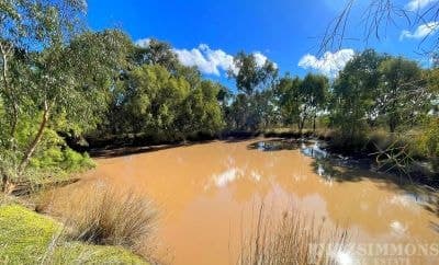30 Riley Street Dalby QLD, Dalby - Thumbnail 6