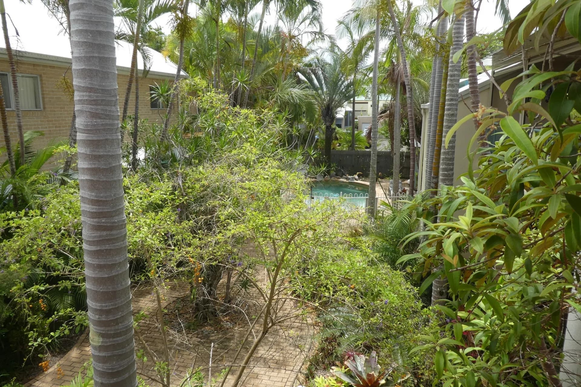 Unit 8/30-32 Ramilles Street, Mount Coolum, QLD, Mount Coolum - Thumbnail 7