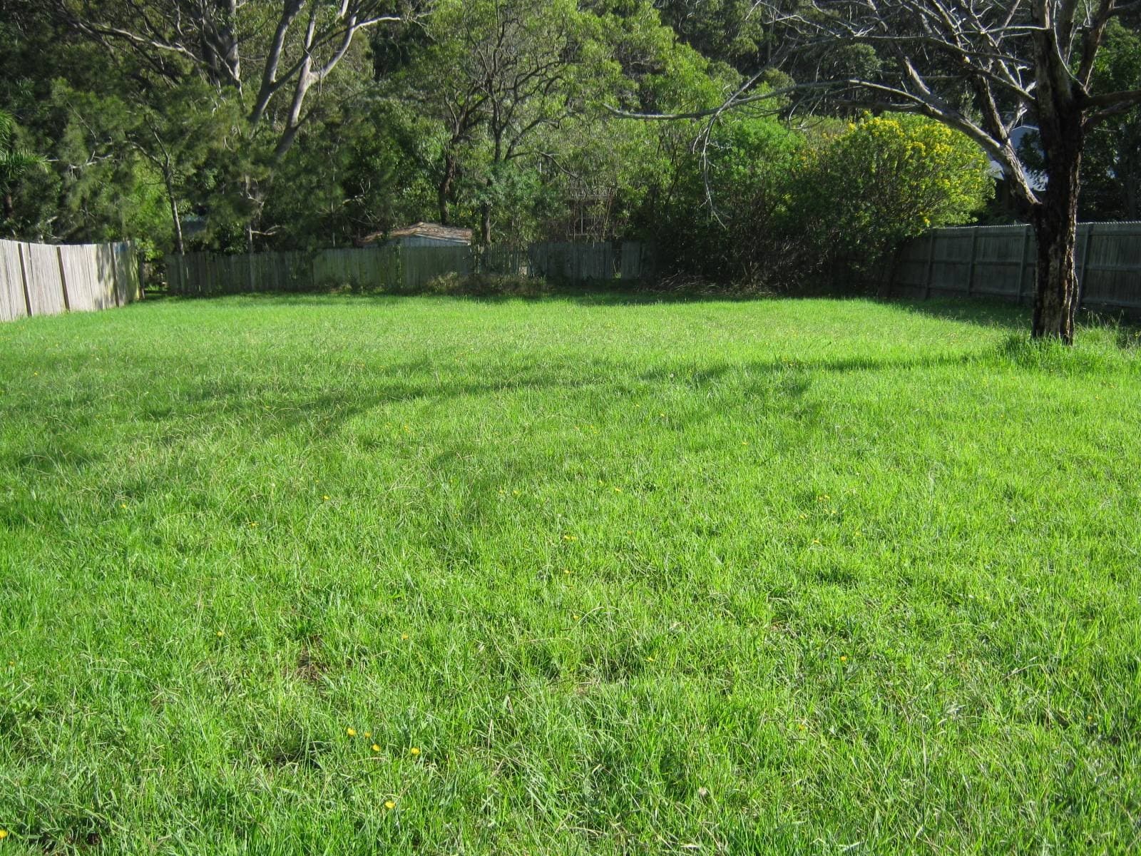 152 Princes Hwy, Narooma - Image 1