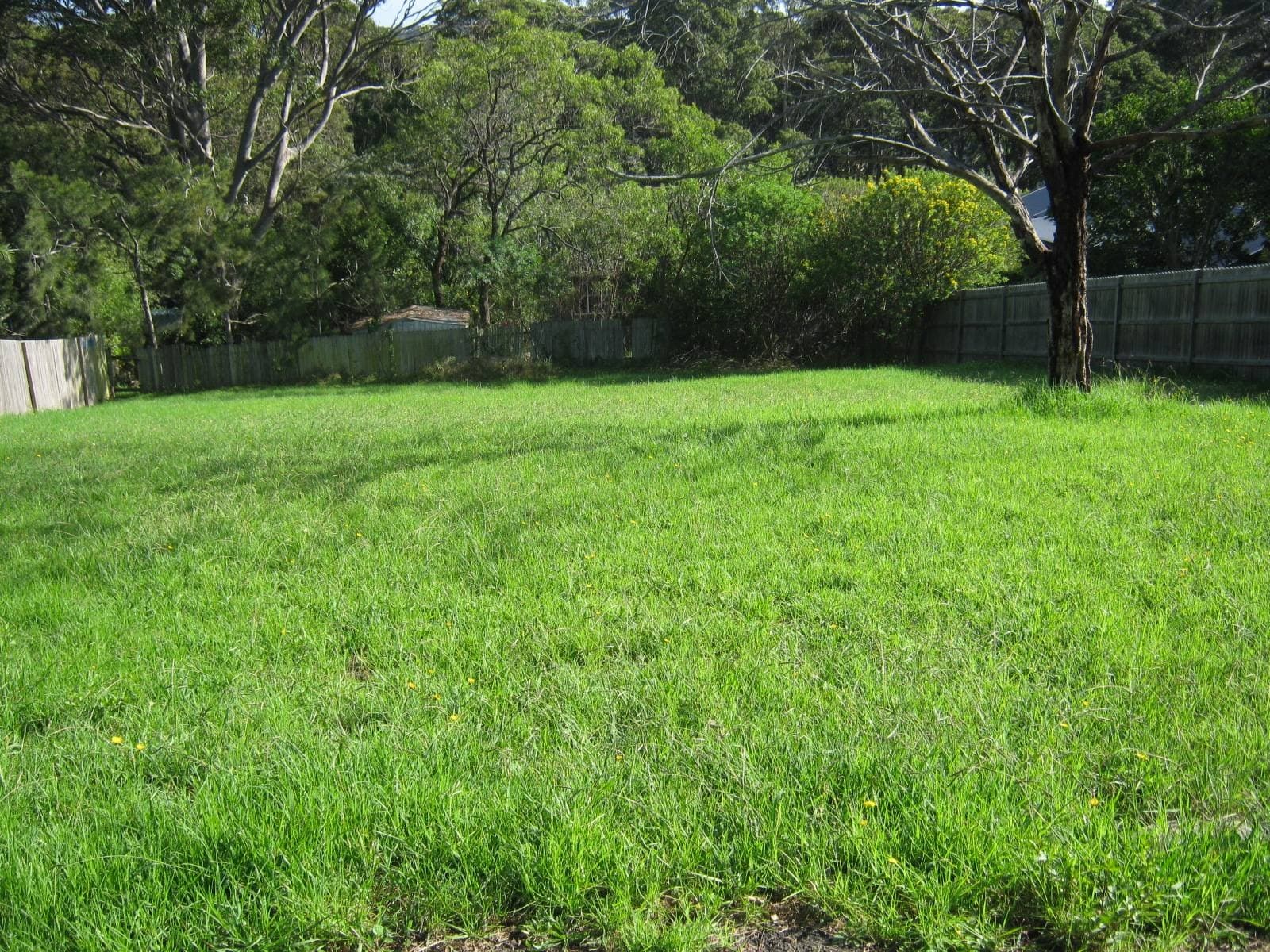 152 Princes Hwy, Narooma - Thumbnail 2