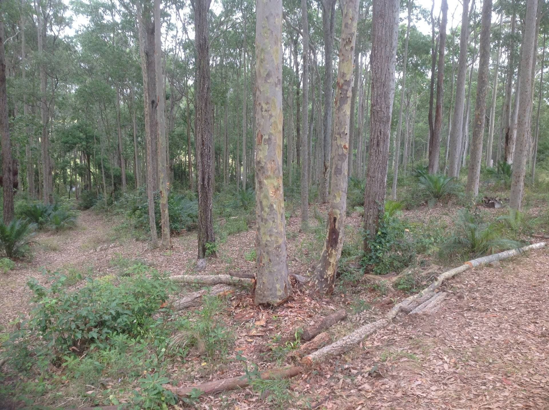109 Old Highway, Narooma - Image 1
